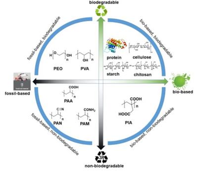 东华大学乌婧/王华平团队Prog.Polym.Sci.:生物基可降解超吸水高分子材料最新综述