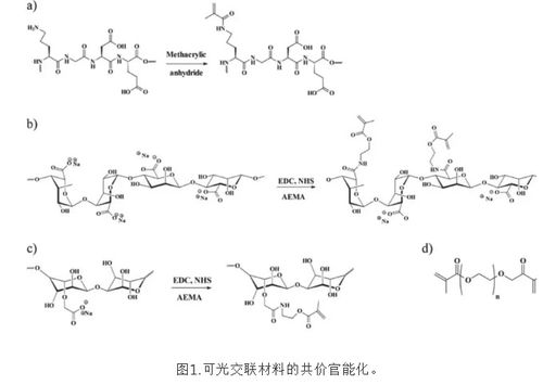 甲基丙烯酰化海藻酸纳 alma 壳聚糖 甲基丙烯酸 乳酸 chi ma la 甲基丙烯酸酐化明胶gelma 甲基丙烯酸透明质酸 hama 一系列光敏生物3d打印材料的改性