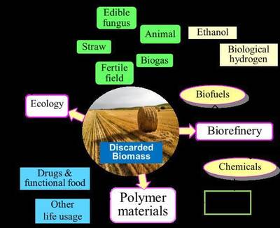 西北师范大学王荣民教授系统评述了废弃生物质材料基功能高分子材料的制备与应用研究进展